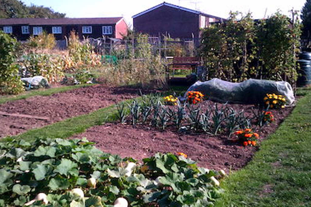 An allotment