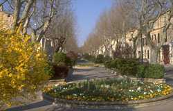 Peertuis