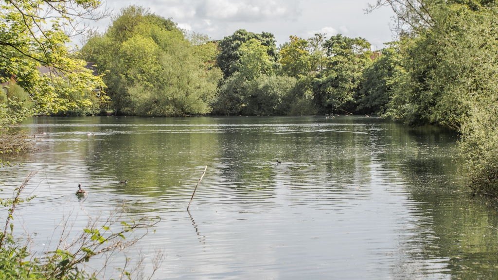 King's Pond Alton