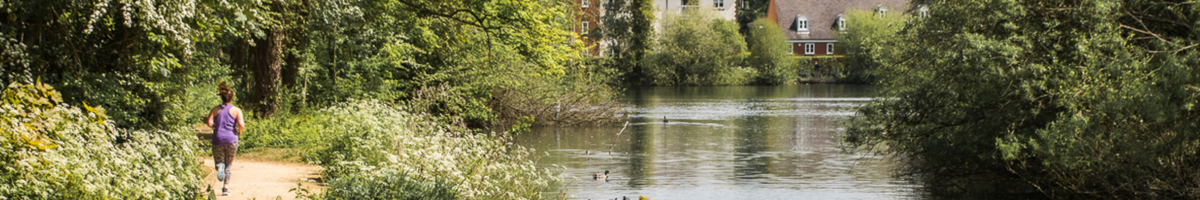 King's Pond