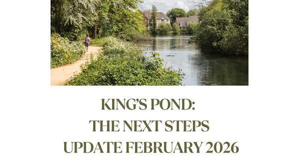 Kings Pond Update Image FEB